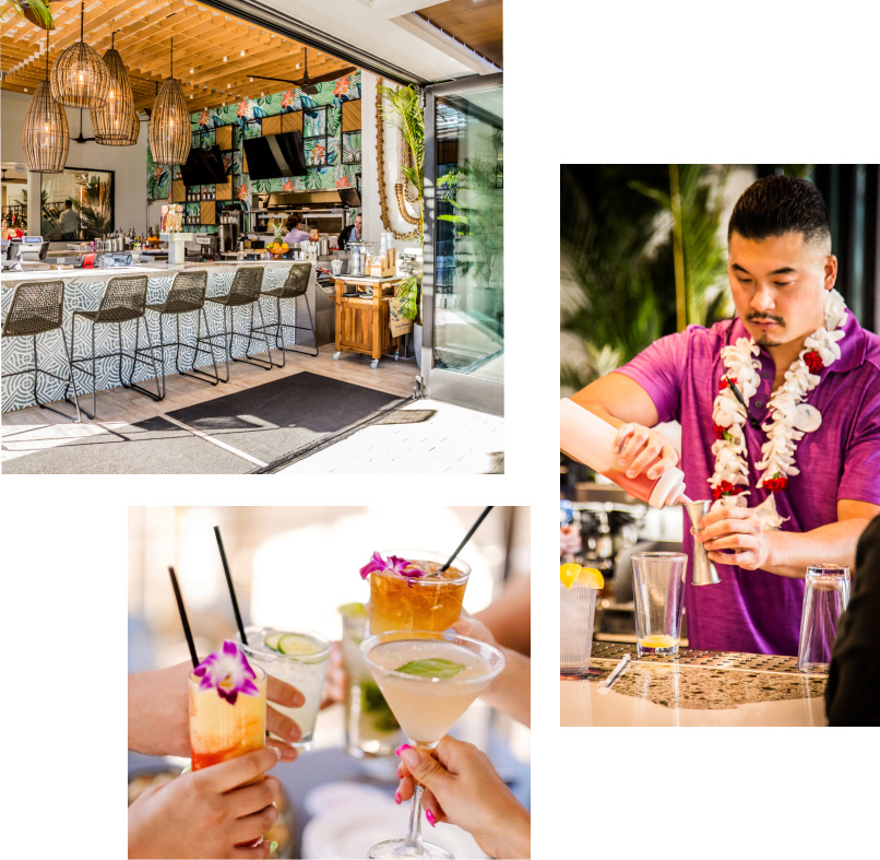 Discover Our Restaurants & Marlin Bars
