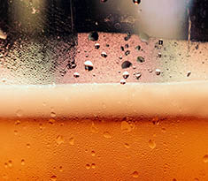 The *Beer* Necessities: According to Our Expert